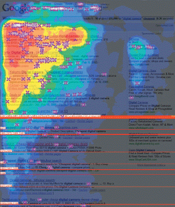 Eye Tracking - Search Page